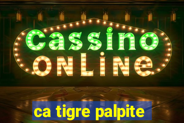 ca tigre palpite