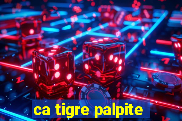 ca tigre palpite