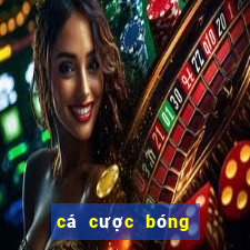 cá cược bóng đá online