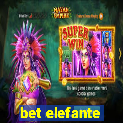 bet elefante