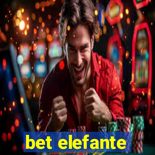 bet elefante