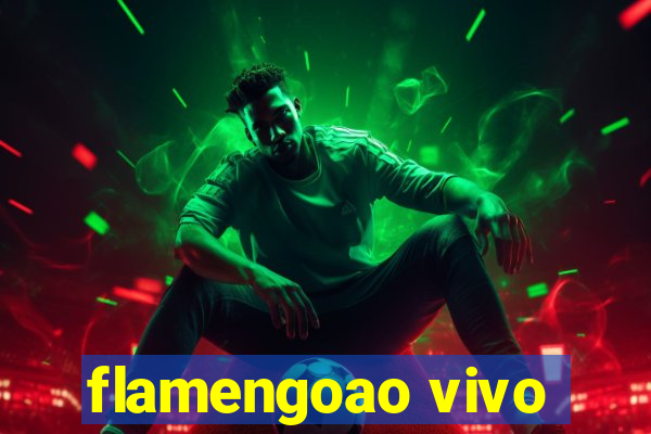 flamengoao vivo