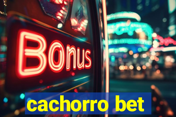 cachorro bet