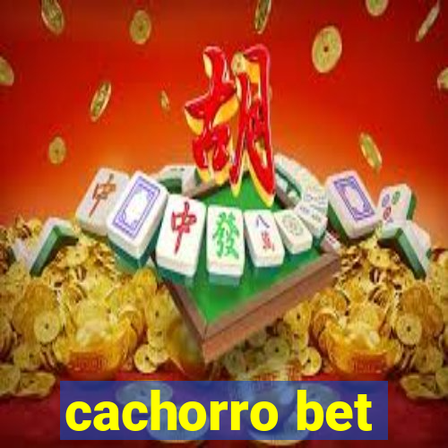 cachorro bet