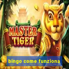 bingo come funziona