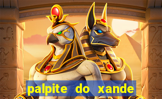 palpite do xande para hoje