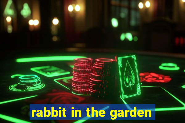 rabbit in the garden