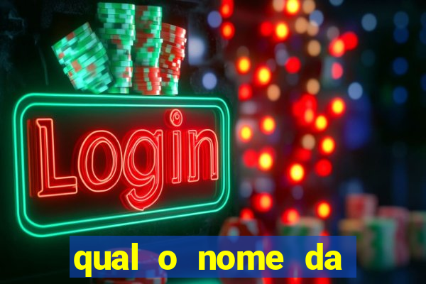 qual o nome da casinha do pinguim