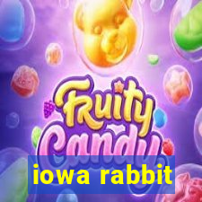 iowa rabbit