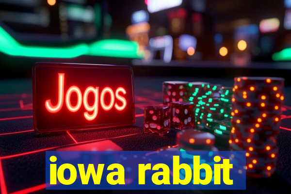 iowa rabbit