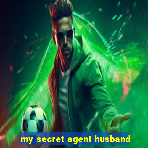 my secret agent husband