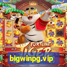 bigwinpg.vip