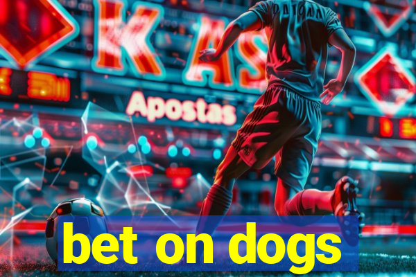 bet on dogs