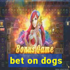 bet on dogs