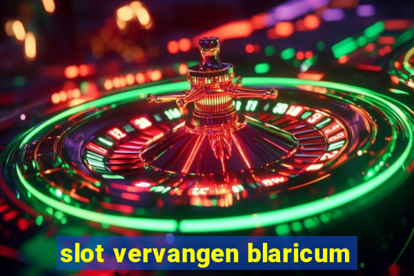 slot vervangen blaricum