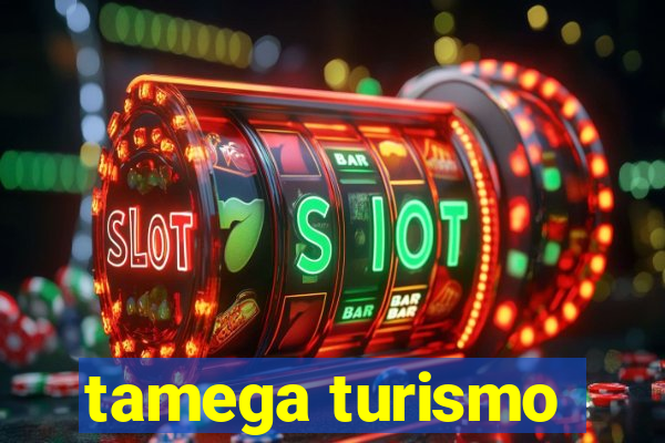 tamega turismo