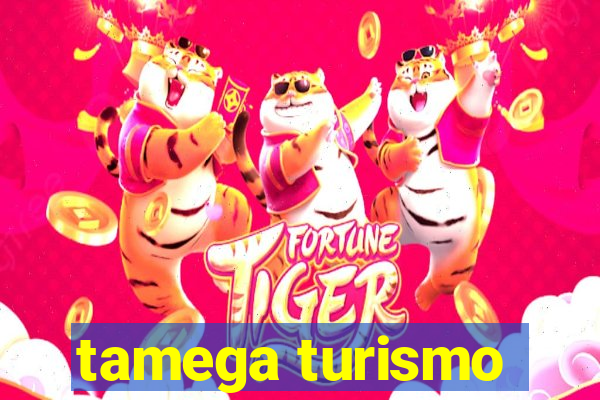 tamega turismo