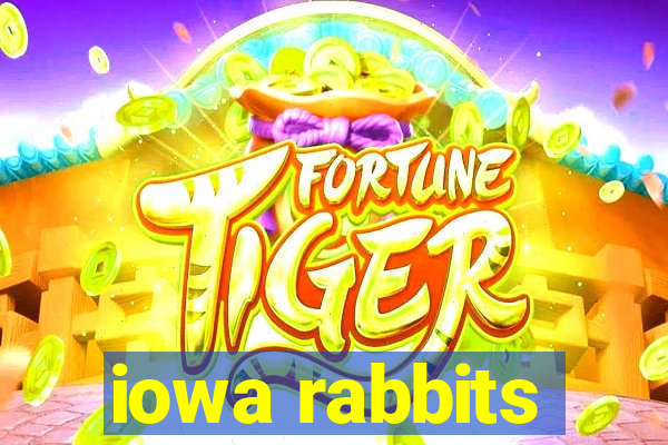 iowa rabbits