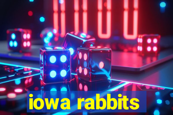 iowa rabbits