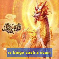 is bingo cash a scam