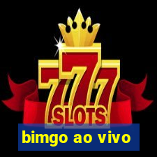 bimgo ao vivo