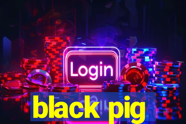 black pig