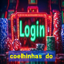 coelhinhas do brasil recife