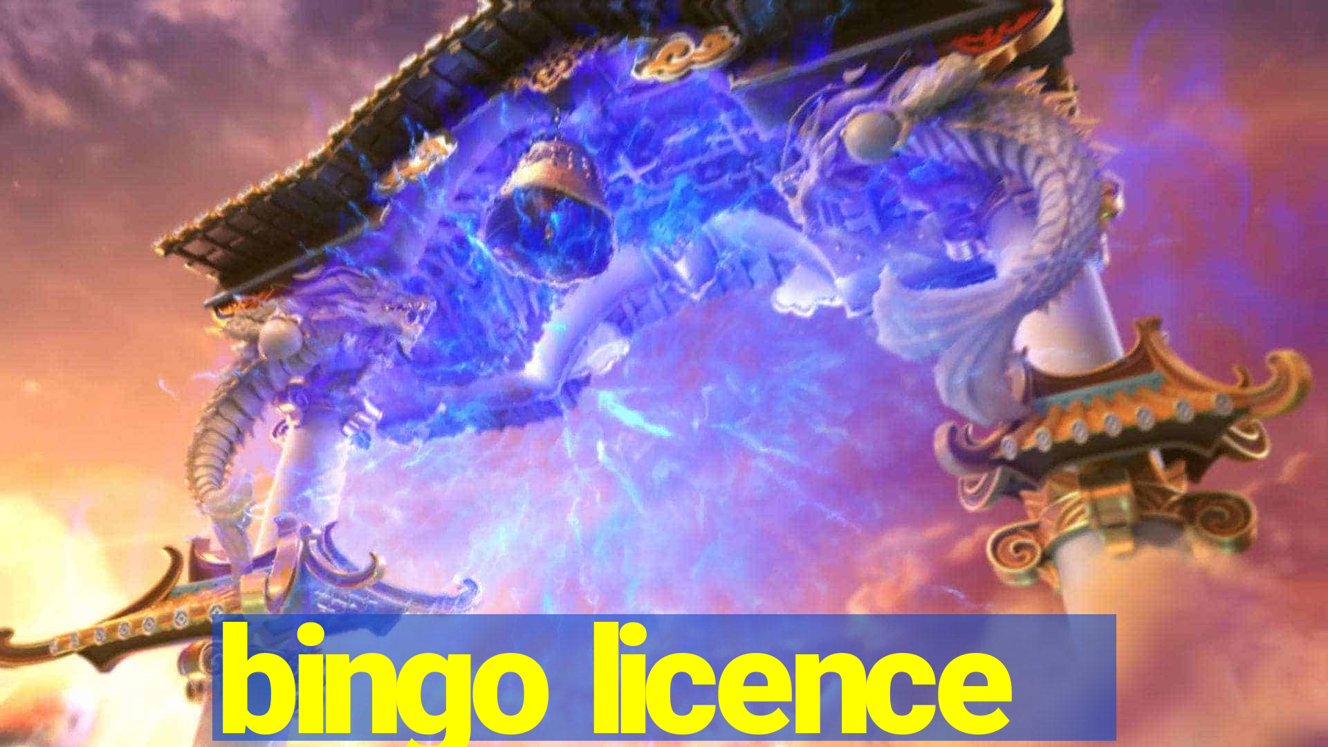 bingo licence