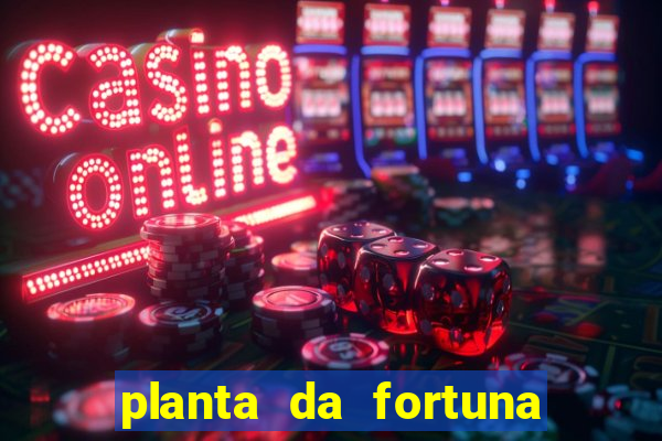 planta da fortuna e felicidade