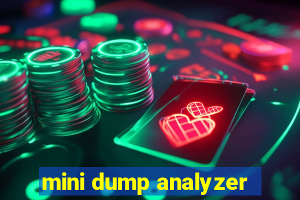 mini dump analyzer