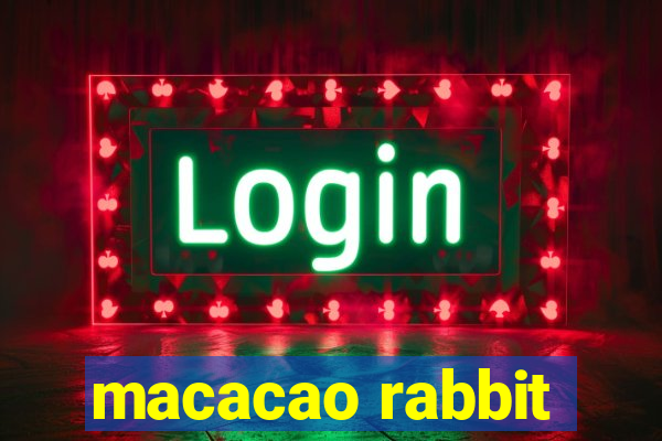 macacao rabbit