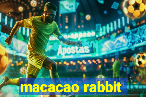 macacao rabbit