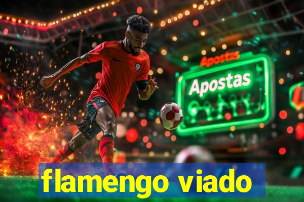 flamengo viado