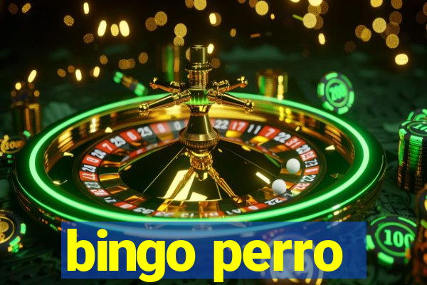 bingo perro