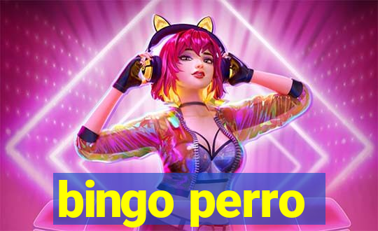 bingo perro