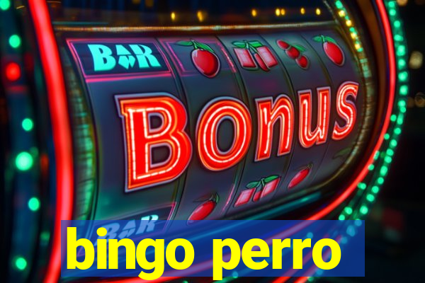 bingo perro