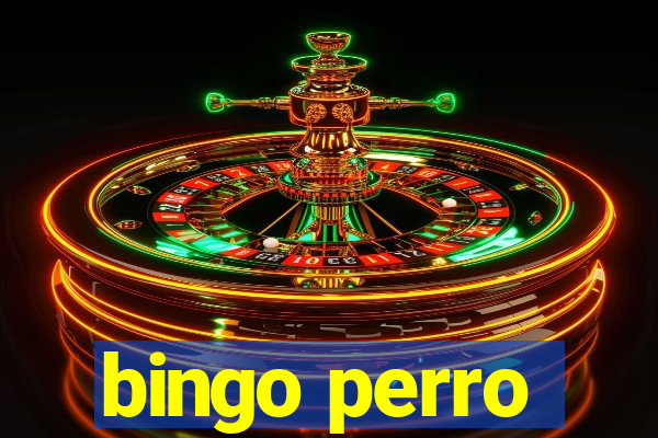 bingo perro