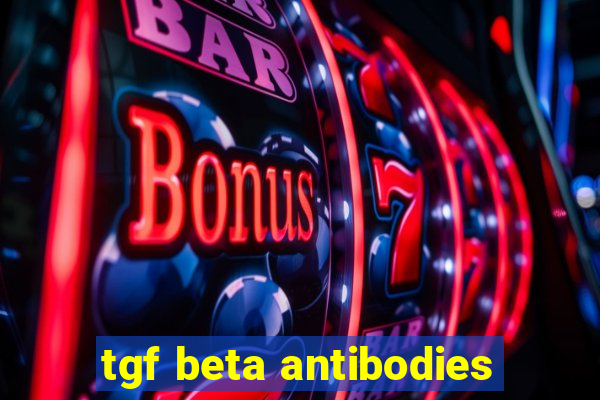 tgf beta antibodies