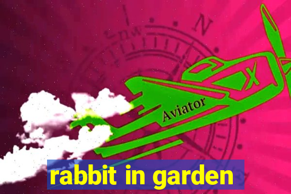 rabbit in garden