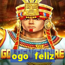 ogo feliz cassino—slots bingo