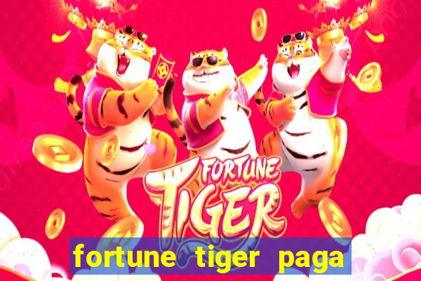 fortune tiger paga de madrugada