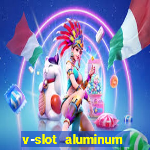 v-slot aluminum profile extrusion