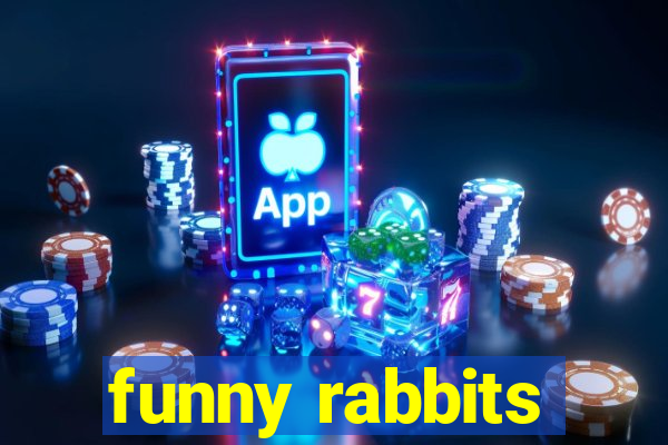 funny rabbits