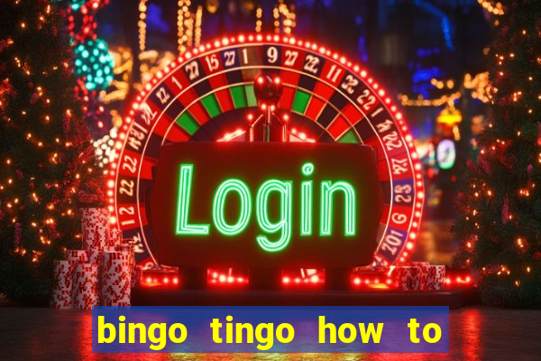 bingo tingo how to use canva