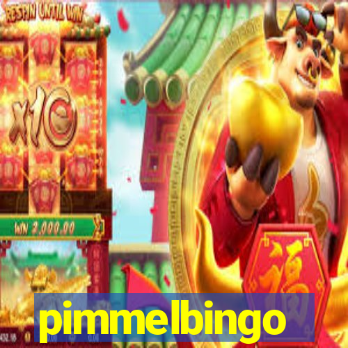 pimmelbingo