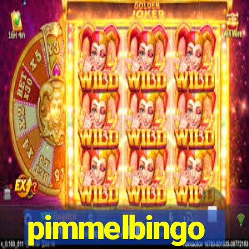 pimmelbingo