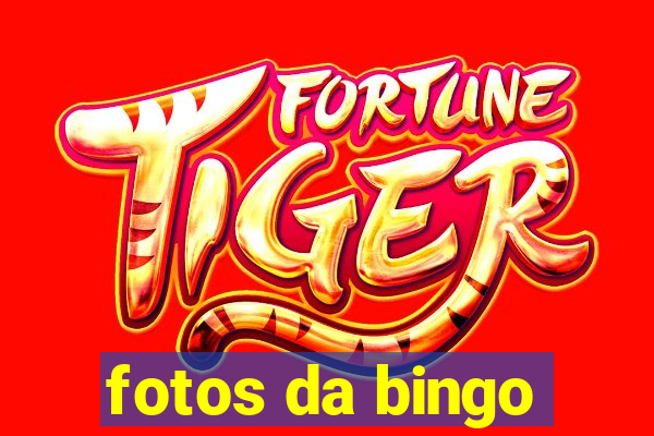 fotos da bingo