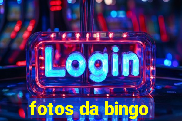 fotos da bingo