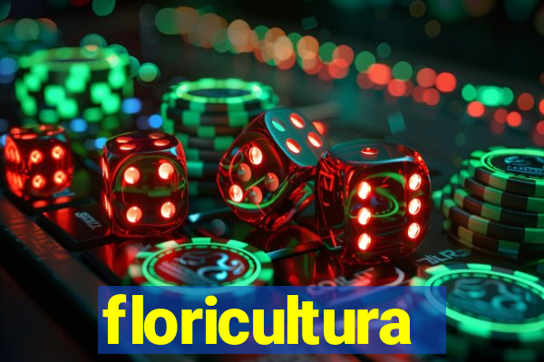 floricultura cruzeiro novo