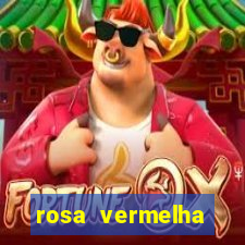 rosa vermelha (letra e cifra)